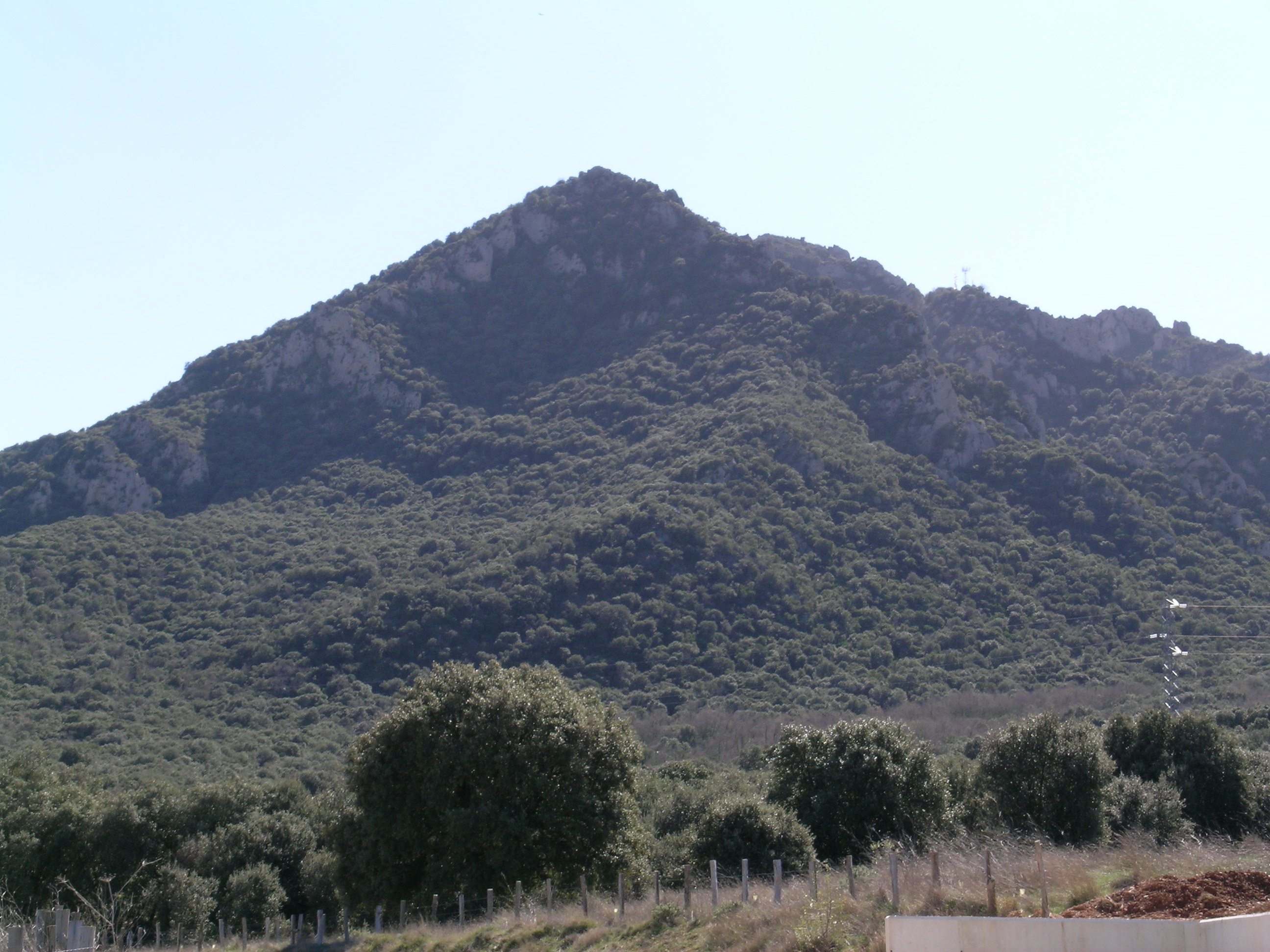 Montejurra