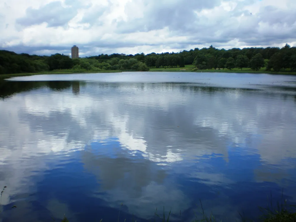 Edgbaston Pool