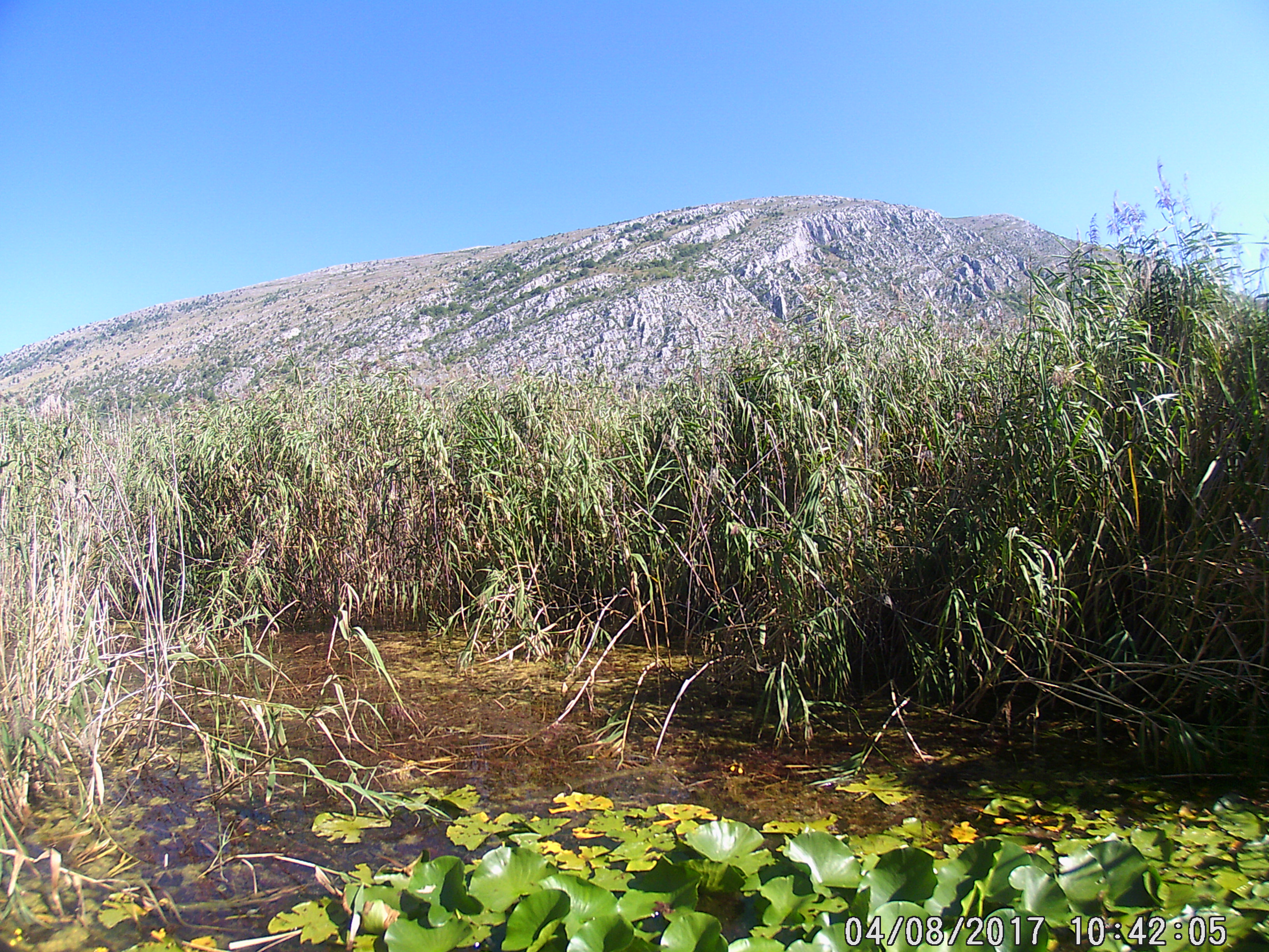 Dragoman marsh, Bulgaria