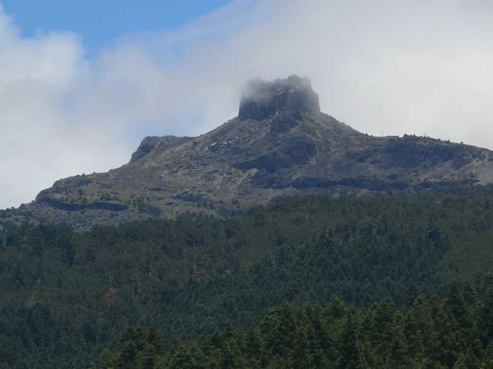 Cofre de Peru en tanga