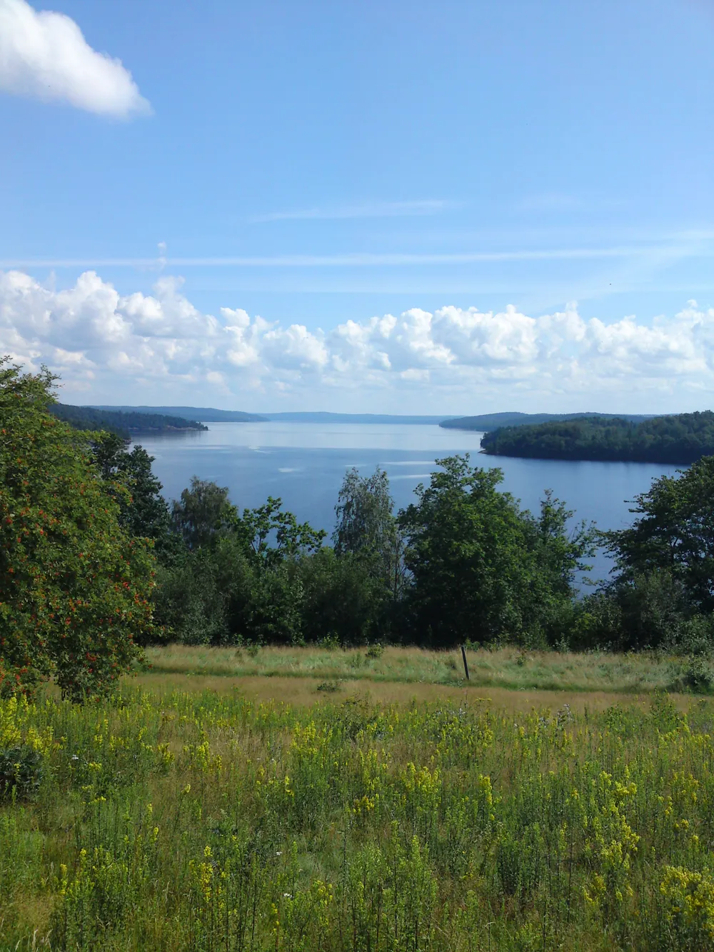 Lygnern
