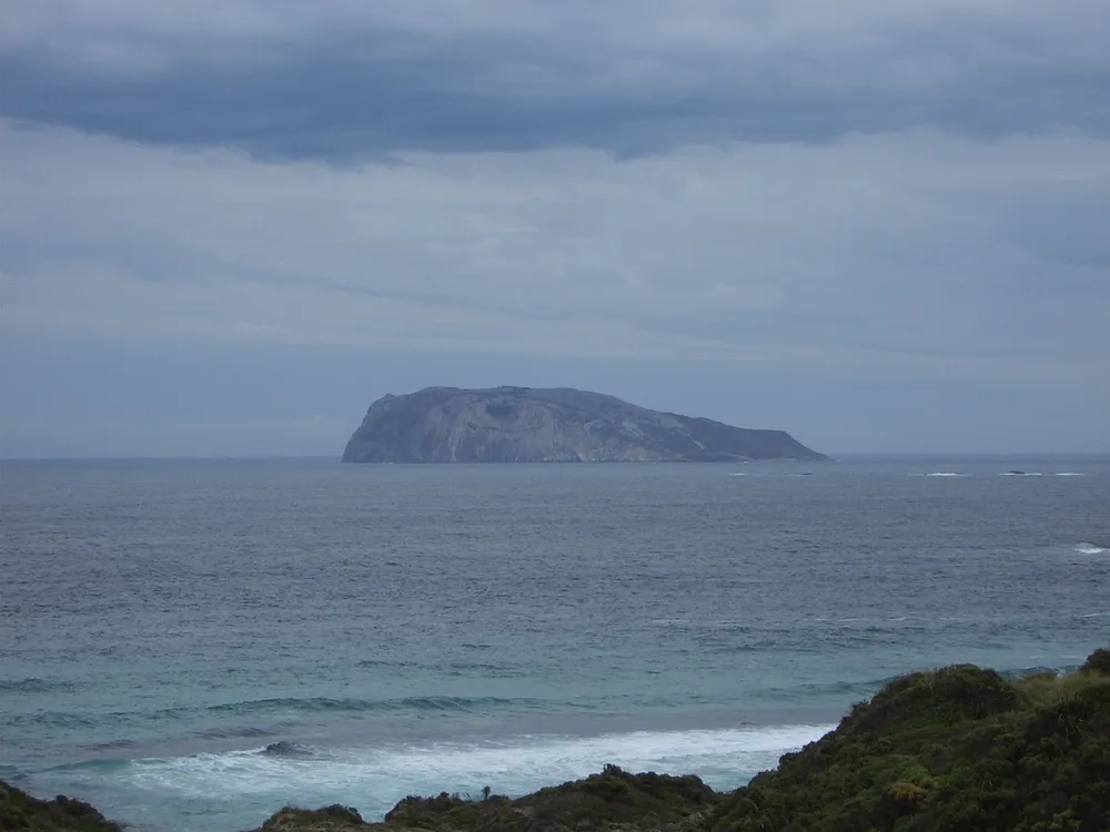 Chatham Island