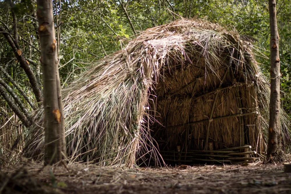 Irish National Heritage Park