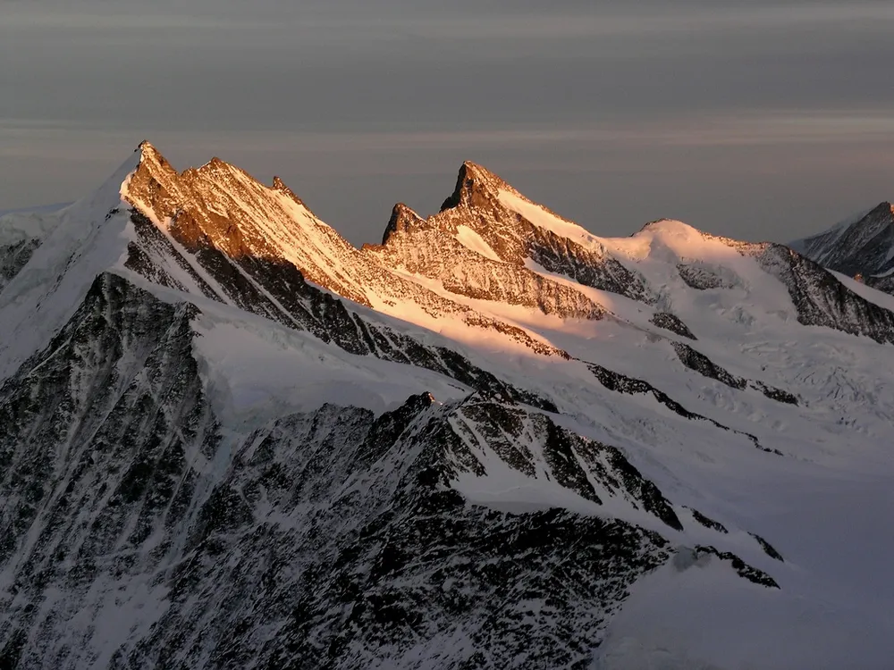 Grünhorn