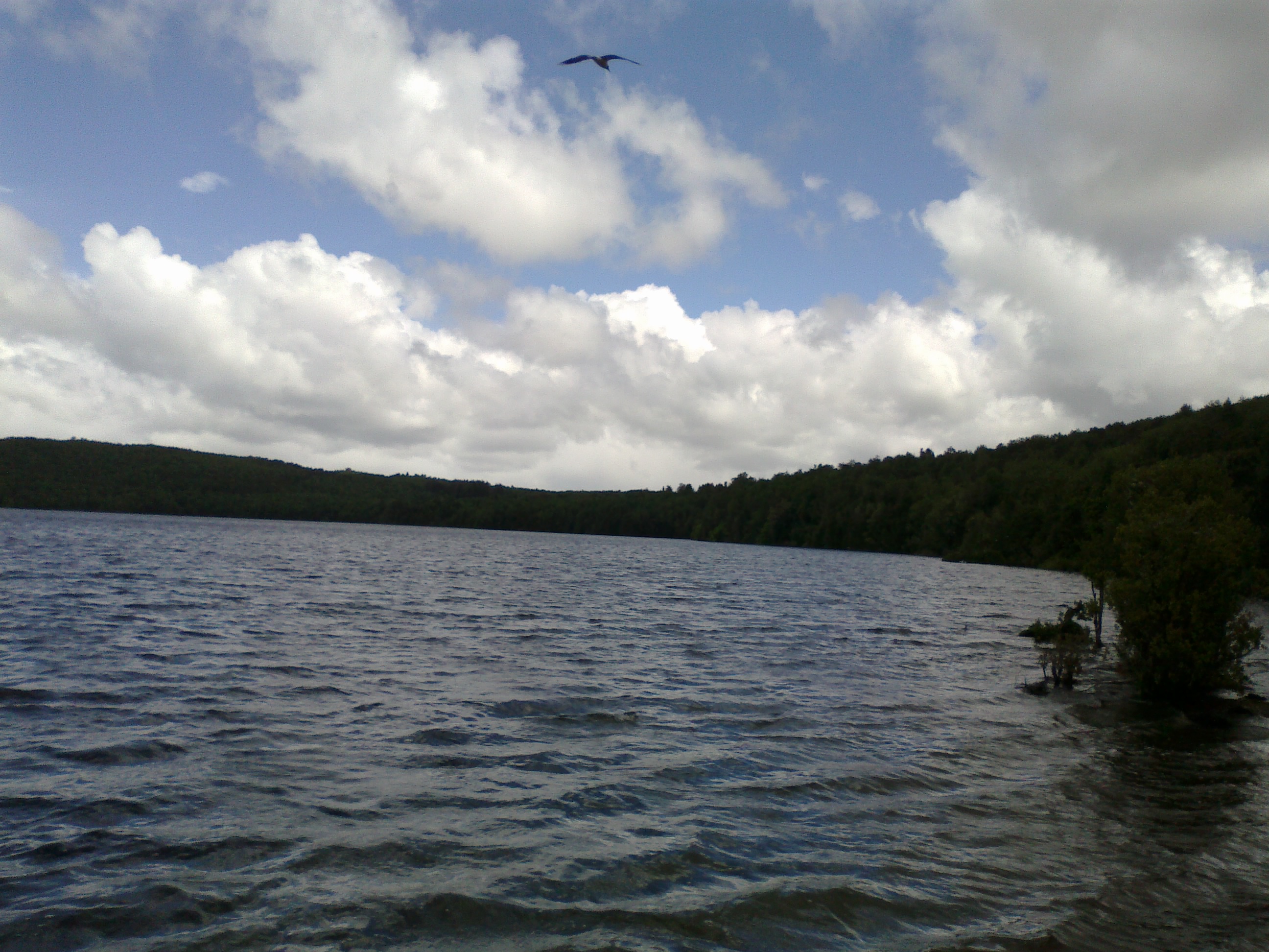 Lago Tarahuin