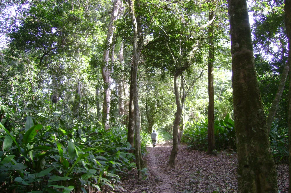 Isiboro Sécure National Park and Indigenous Territory