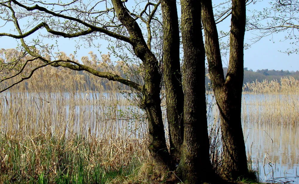 Großer Mützelburger See