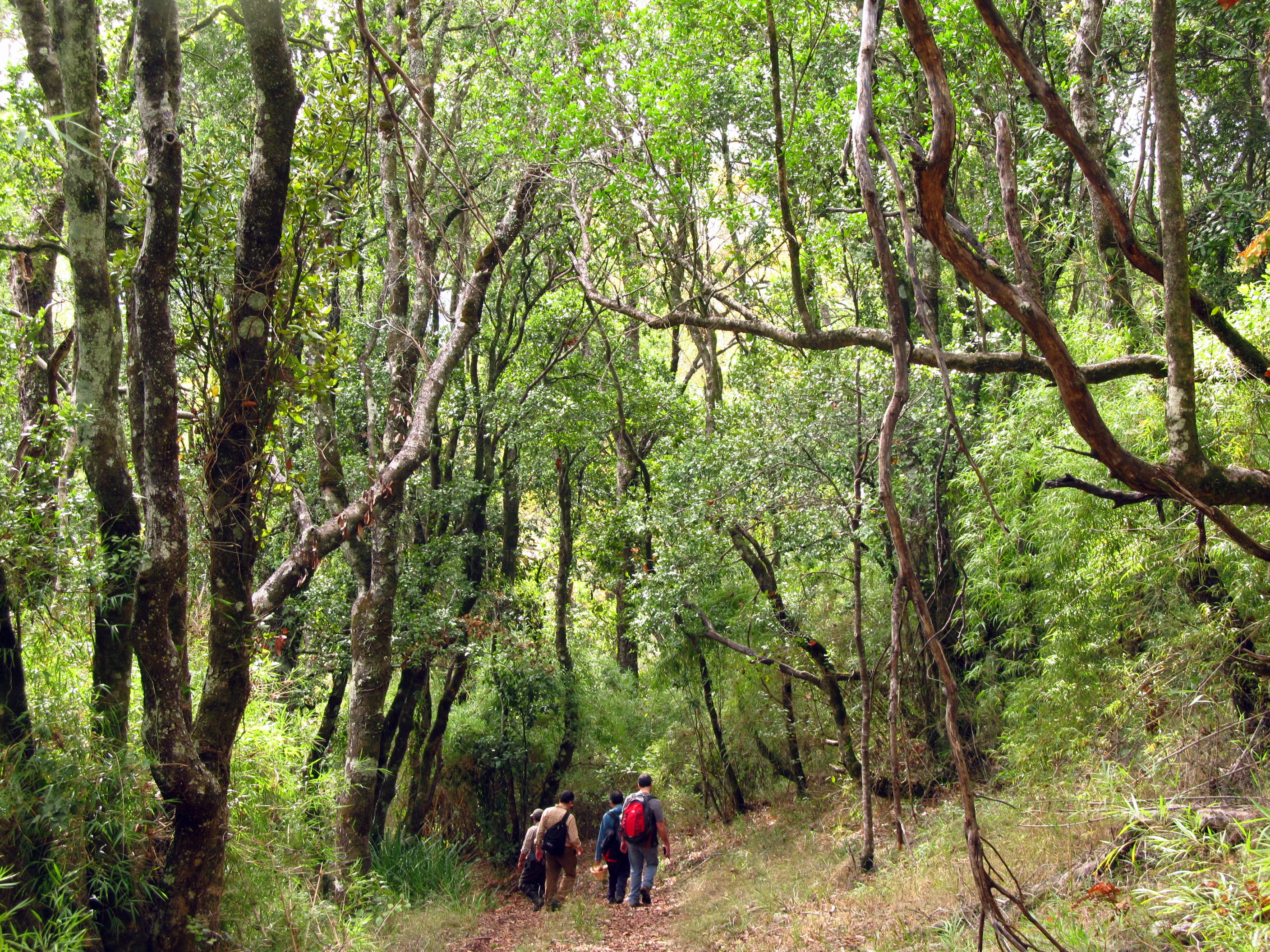 Nonguén National Park