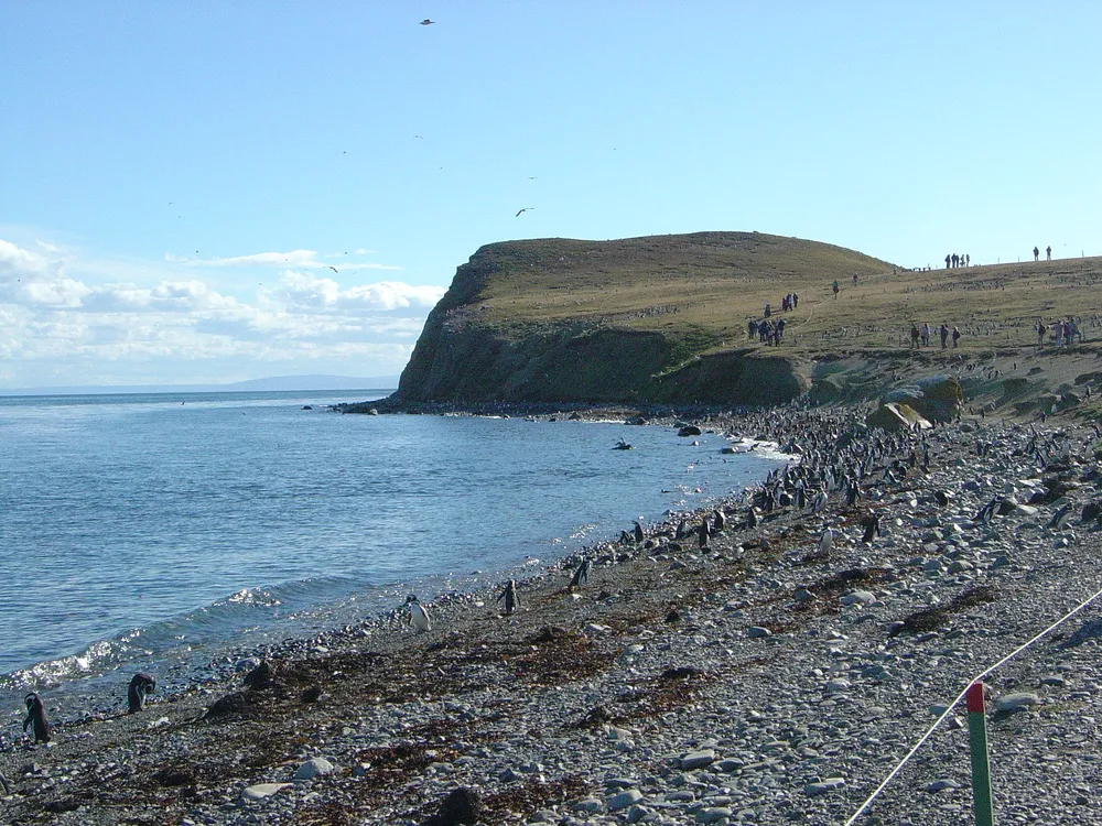 Los Pingüinos Natural Monument