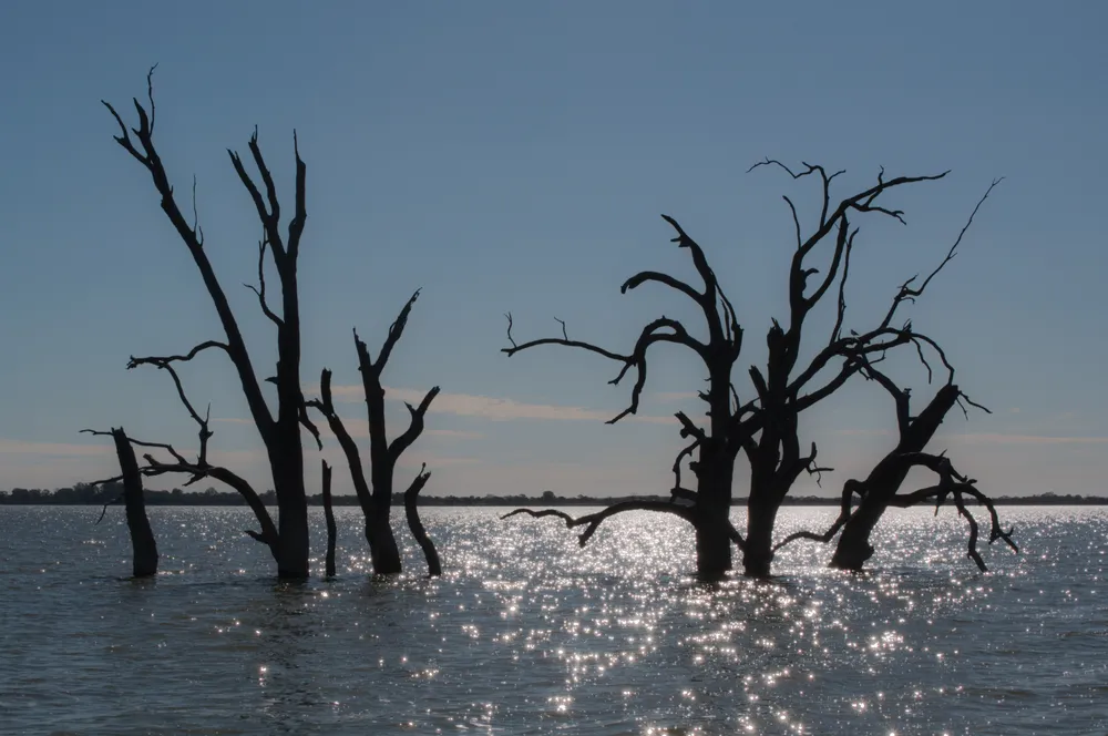 Lake Bonney SE