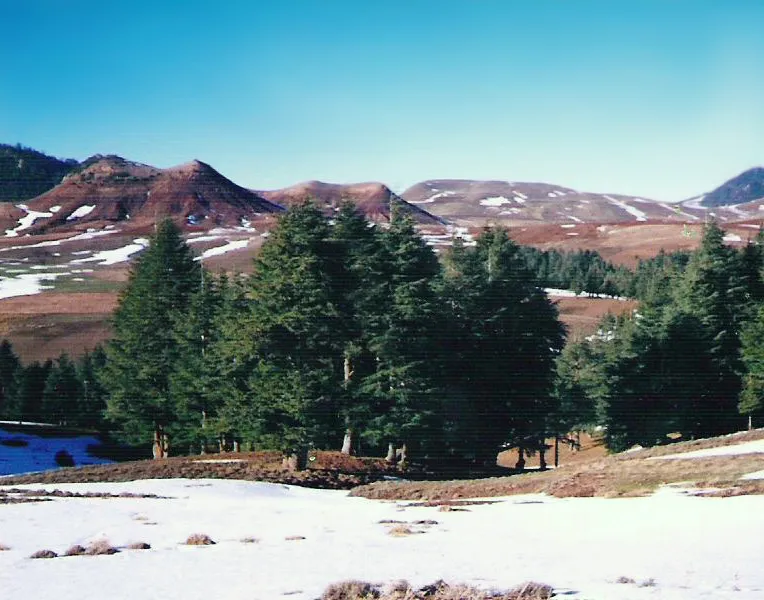 Khenifra National Park