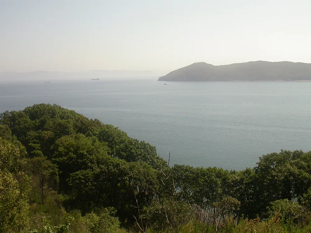 Lisy Island