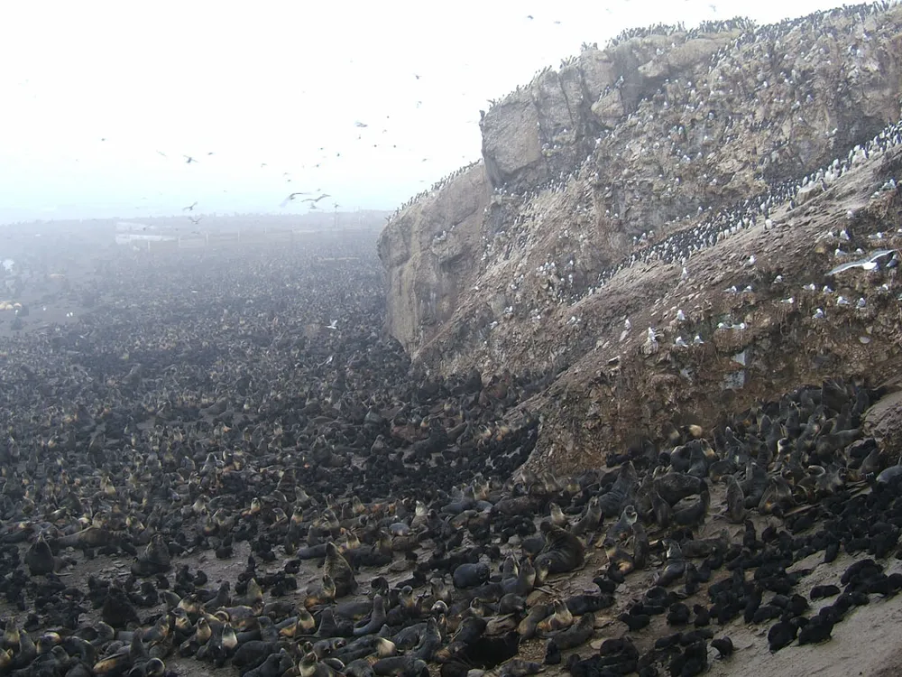 Tyuleny Island