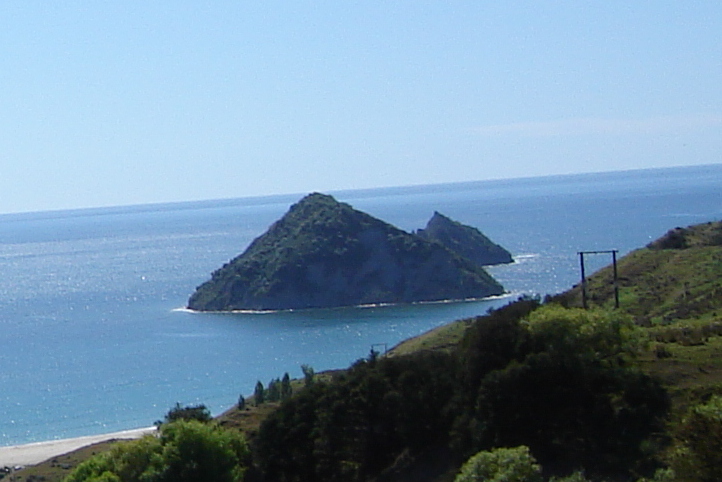 Motuoroi Island