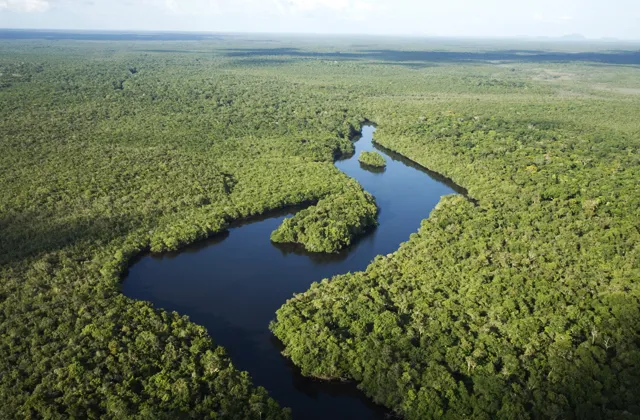 Viruá National Park
