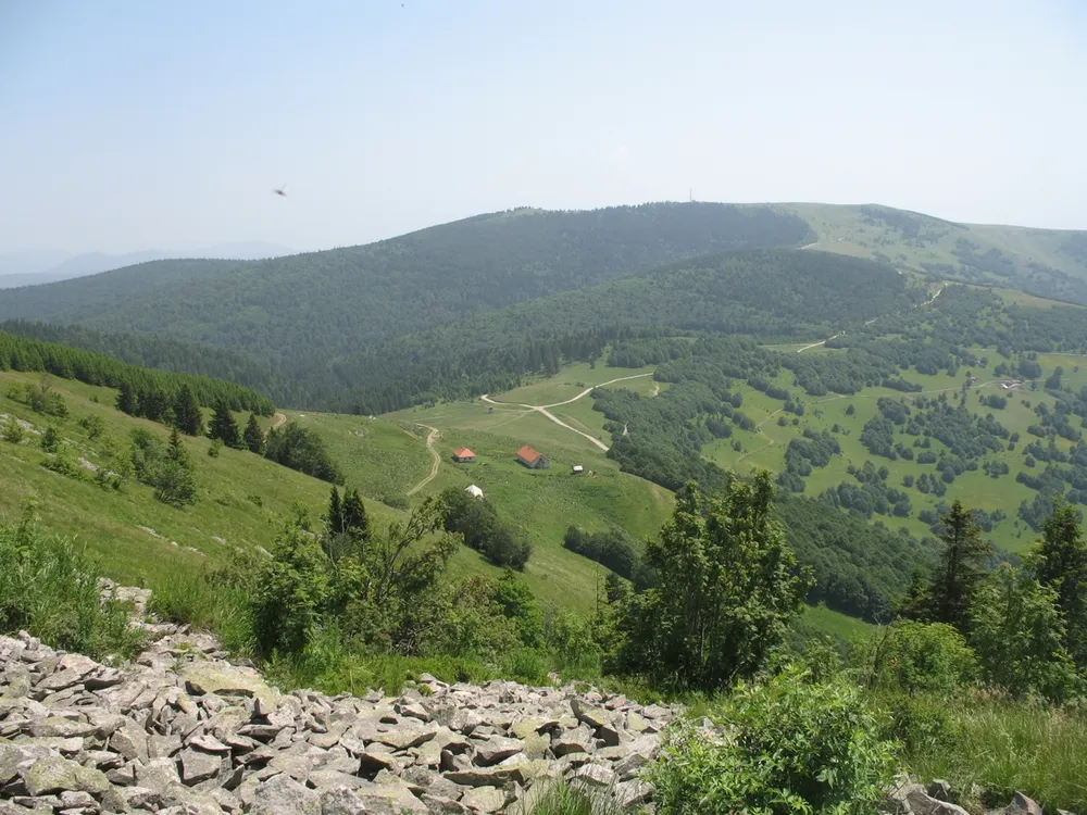 Golija