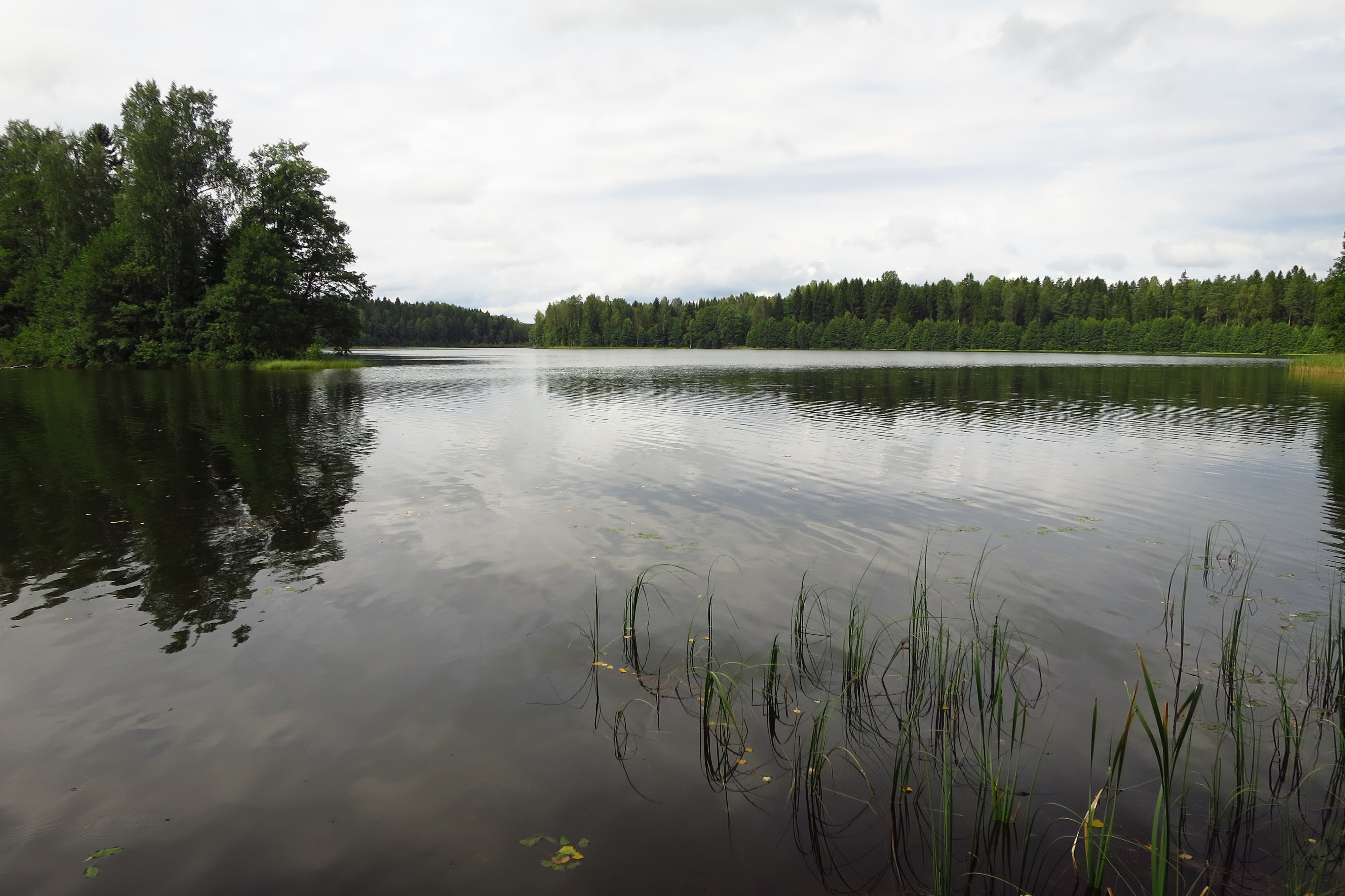 Kisõjärv