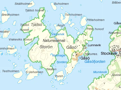 Gåsö