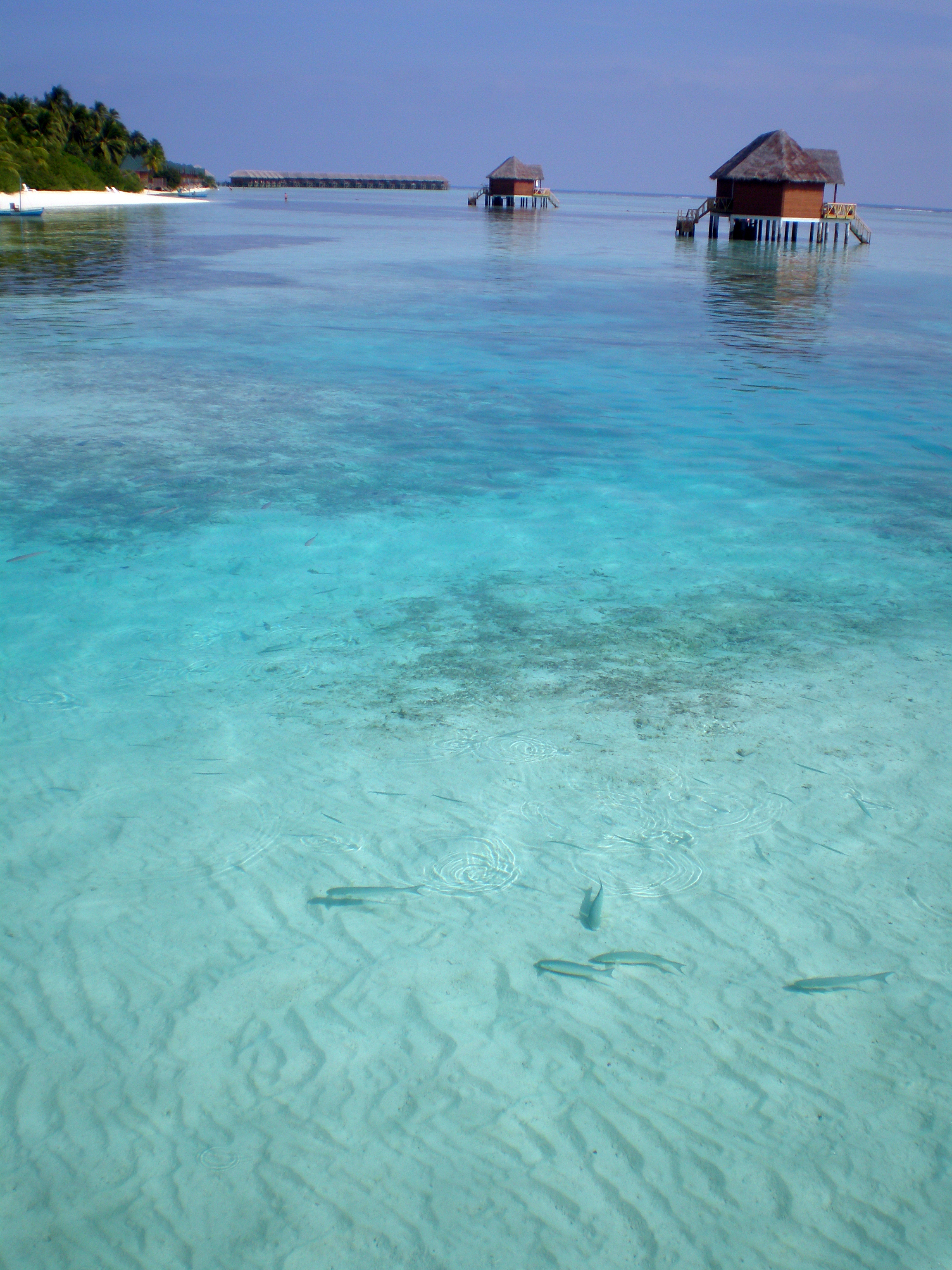 Meeru Island
