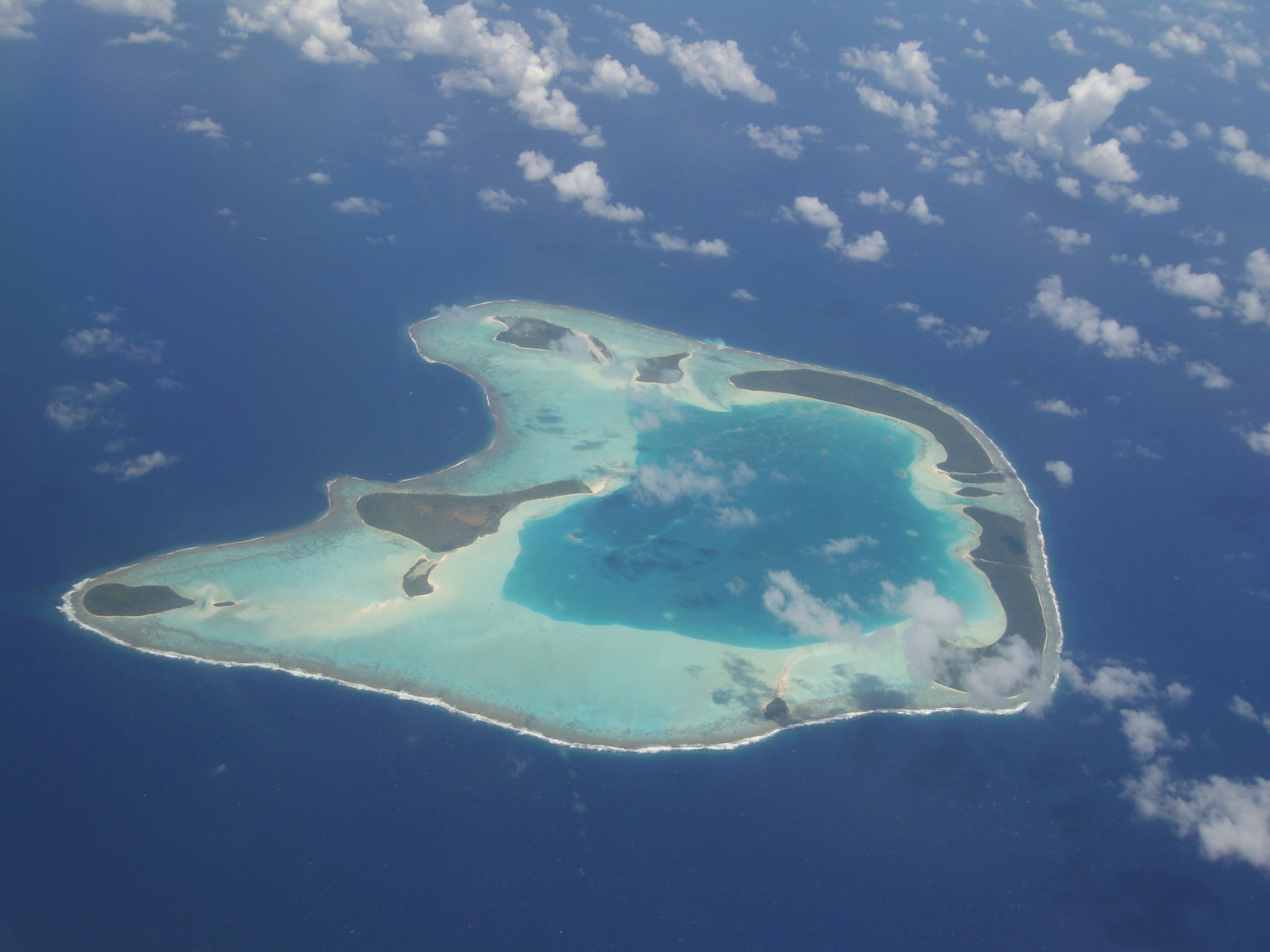 The Brando Resort
