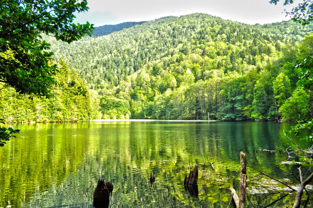Bateti Lake