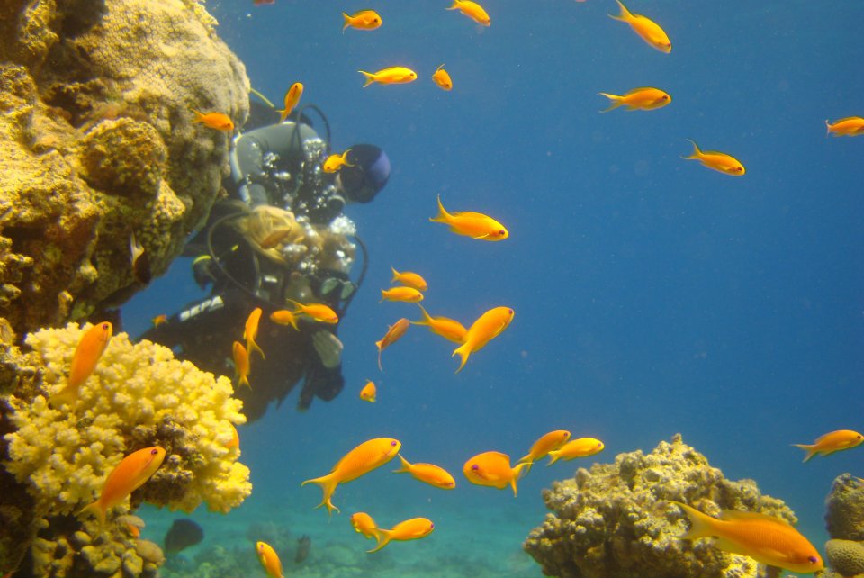 Eilat's Coral Beach
