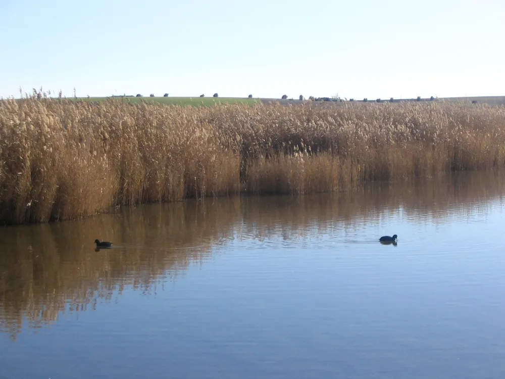 Tablas de Daimiel National Park