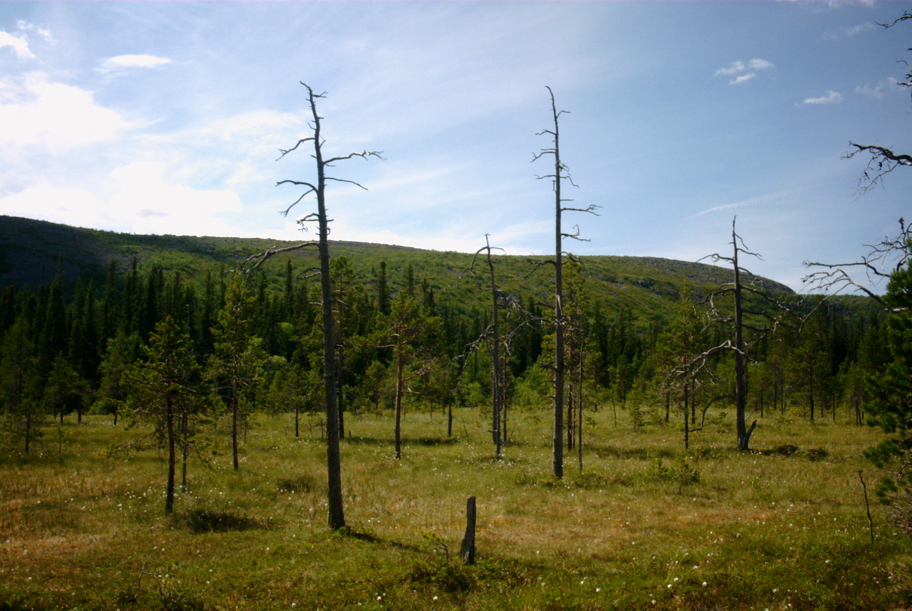 Fulufjället National Park