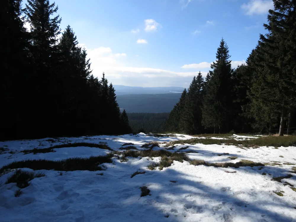 Erdbeerkopf
