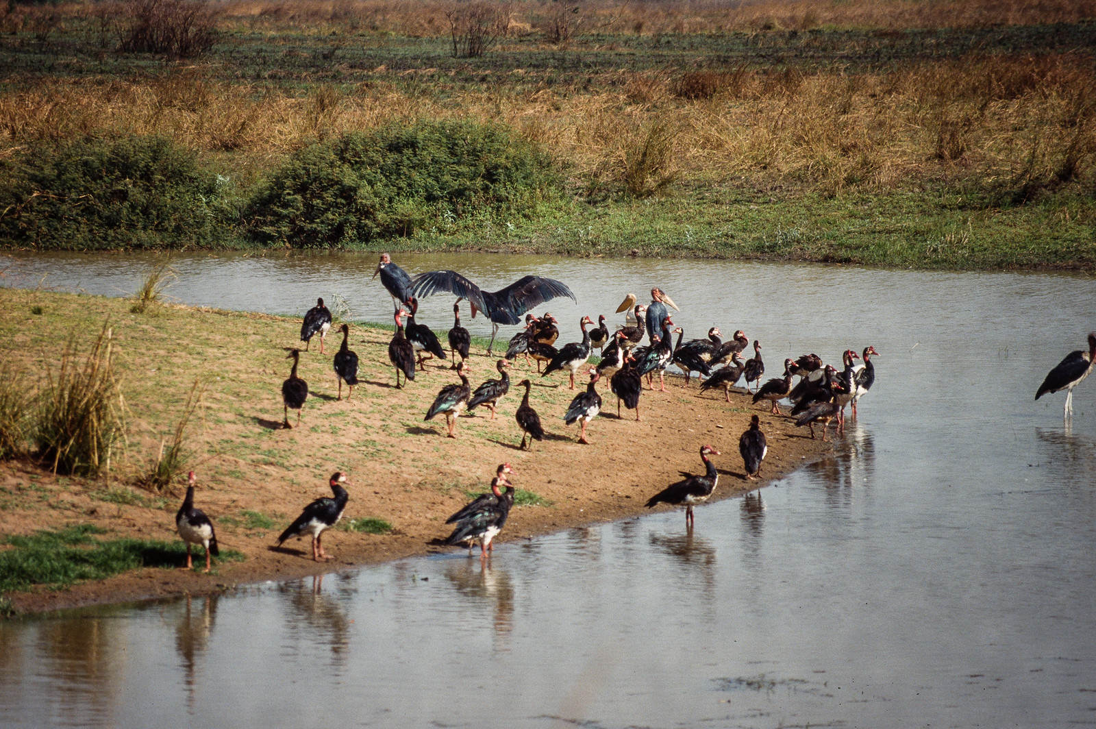 Manovo-Gounda St. Floris National Park