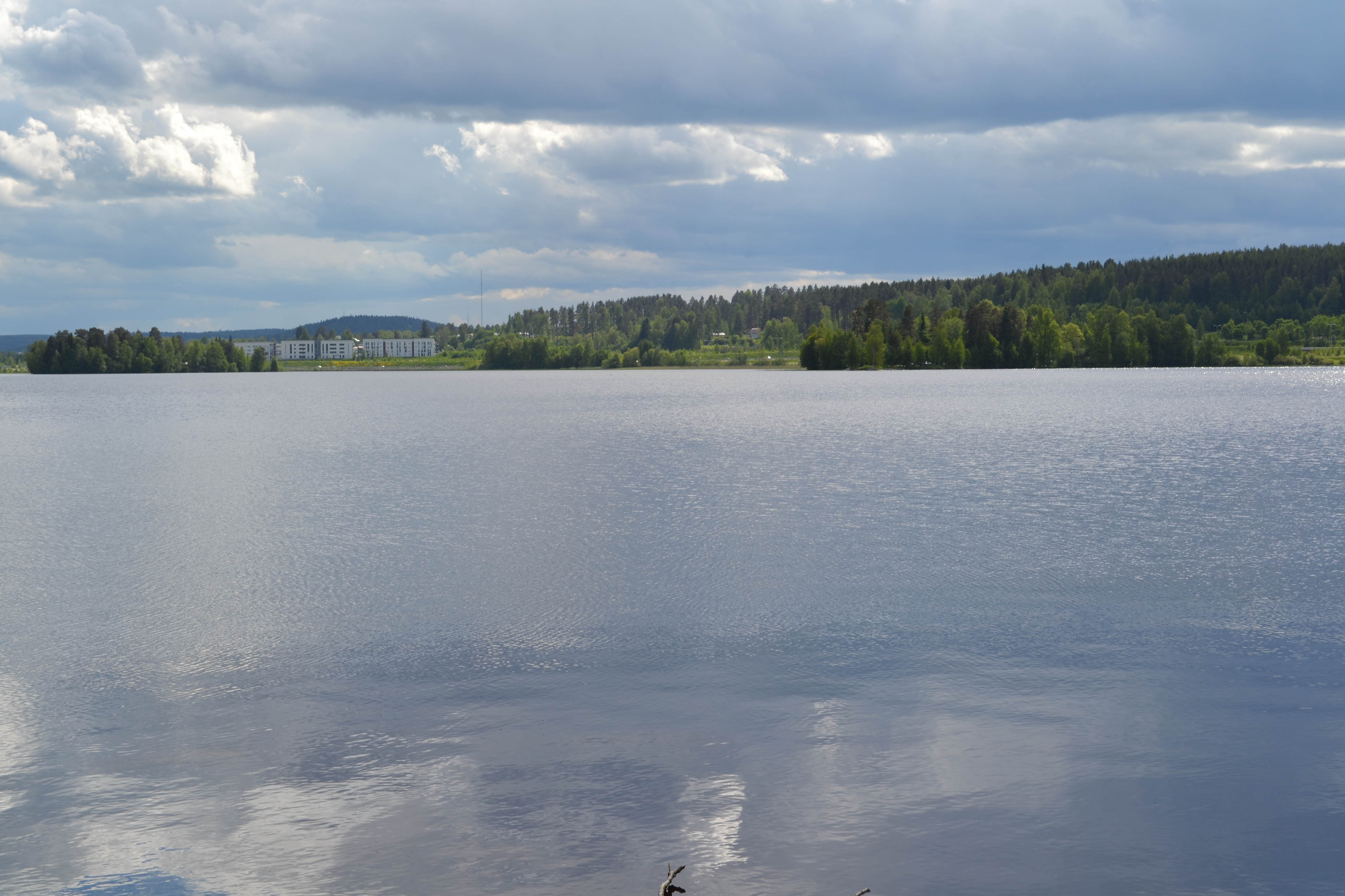 Palokkajärvi
