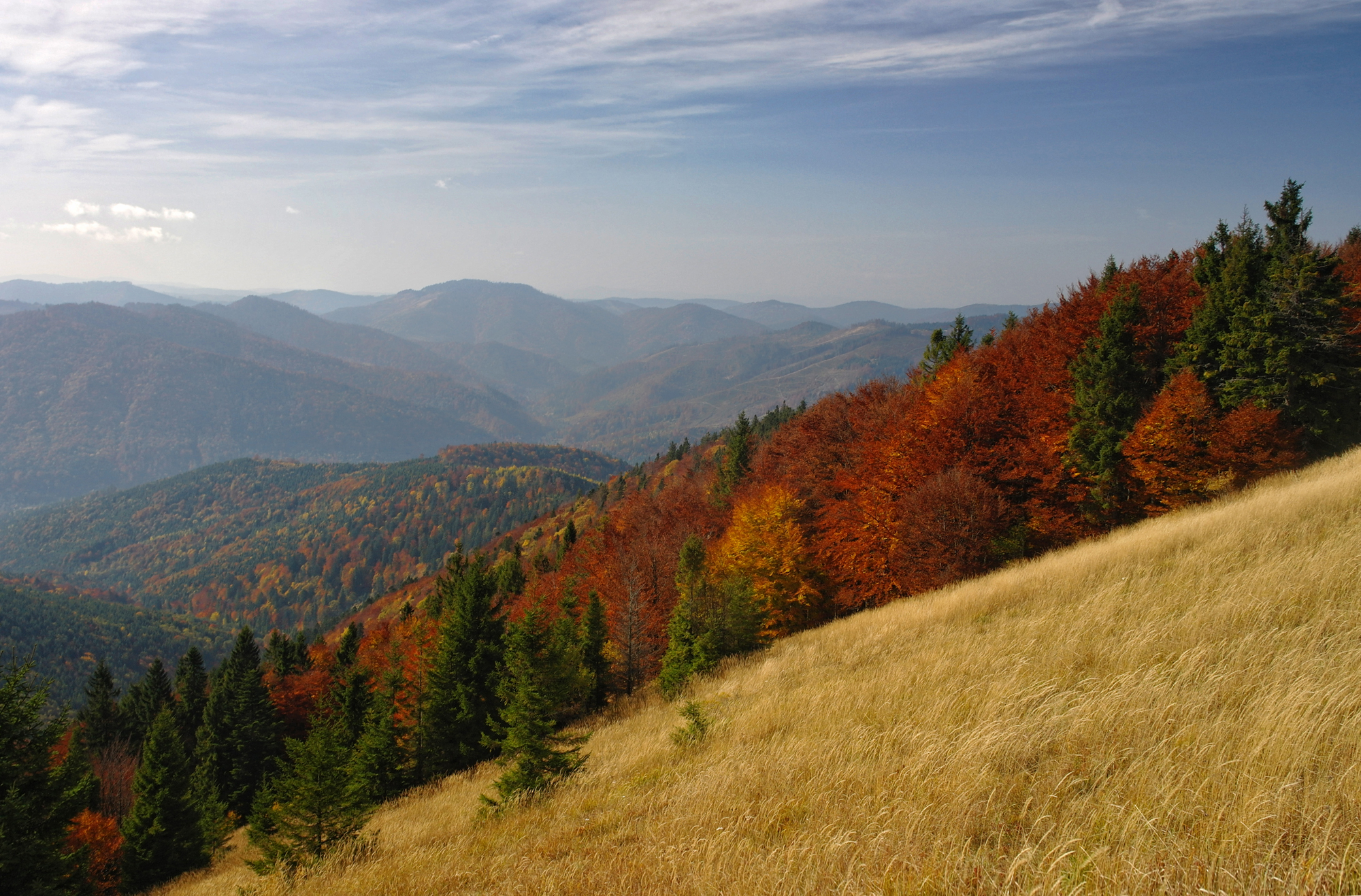 National Nature Park Skole Beskids