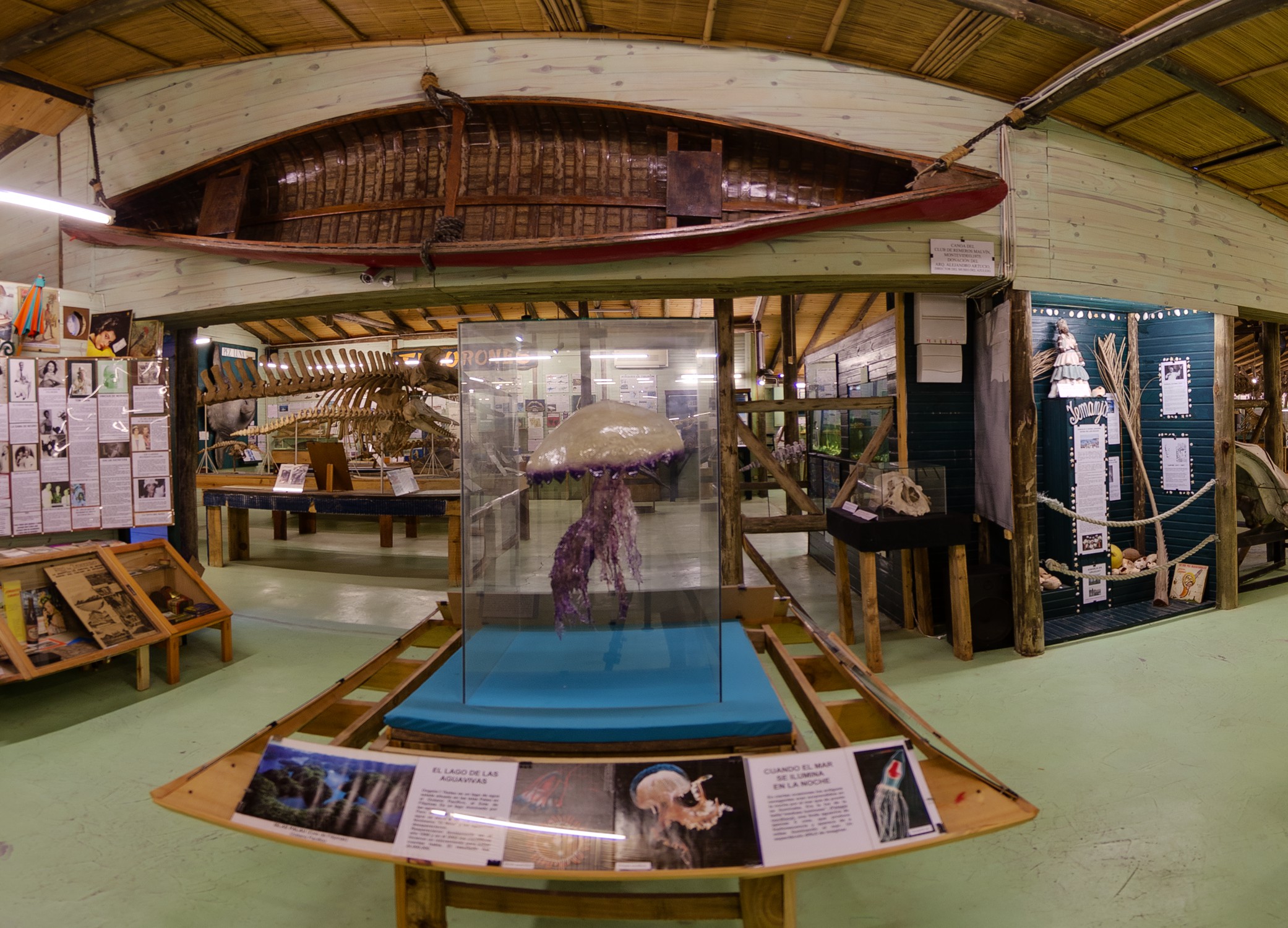 Museum of the Sea