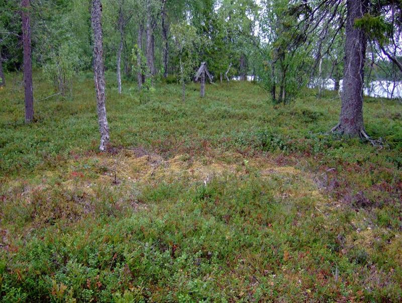 Kalmasaari