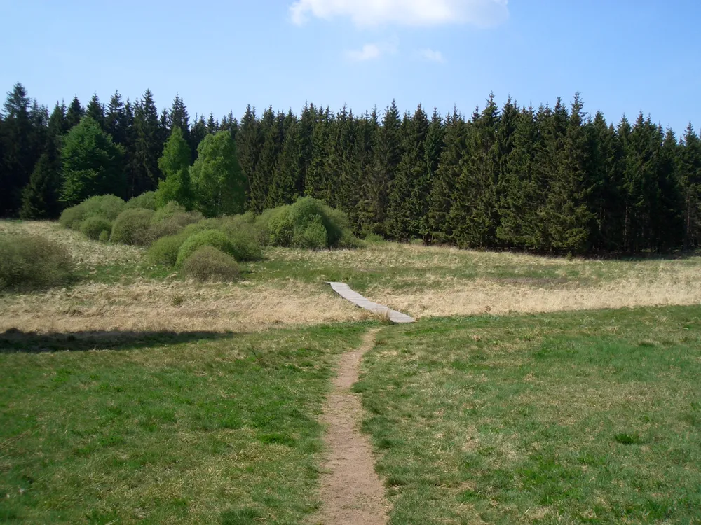 Weißer Stein
