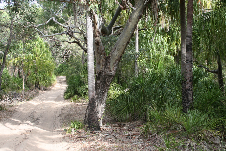 Deepwater National Park