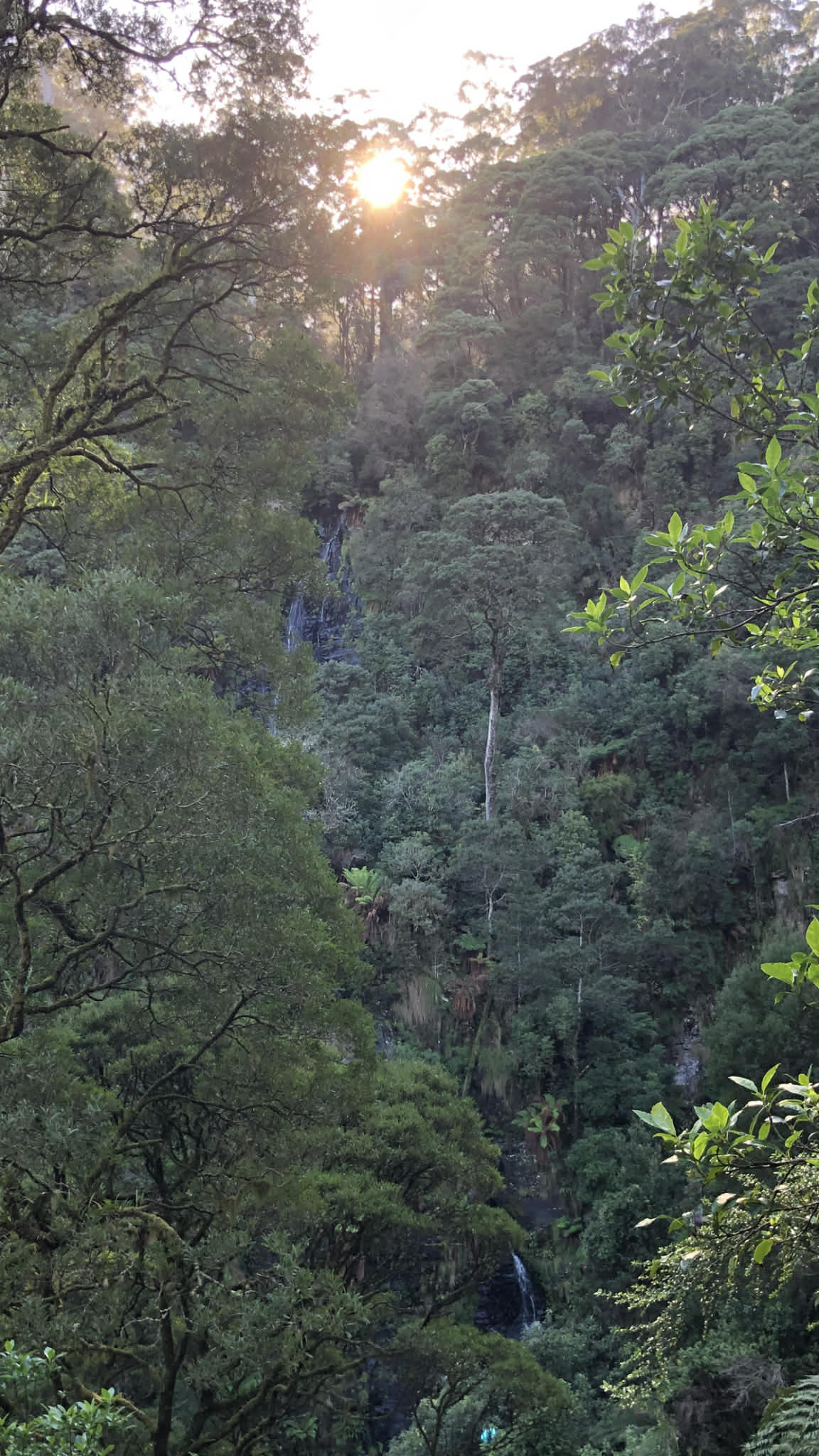 Sabine Falls