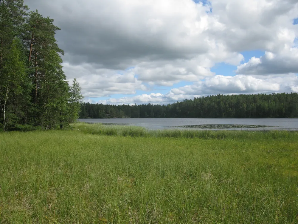 Kankareenjärvi