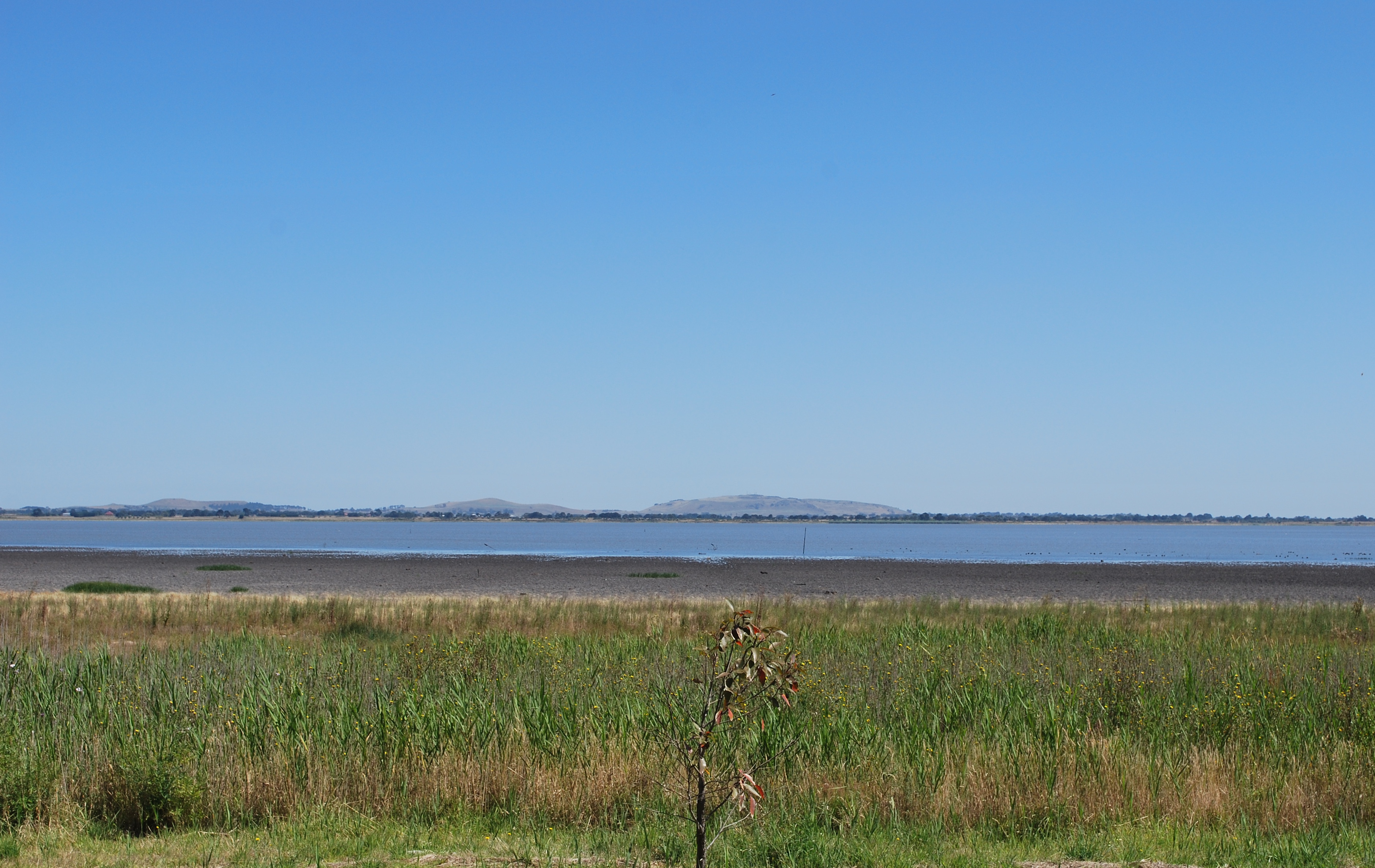 Lake Colac