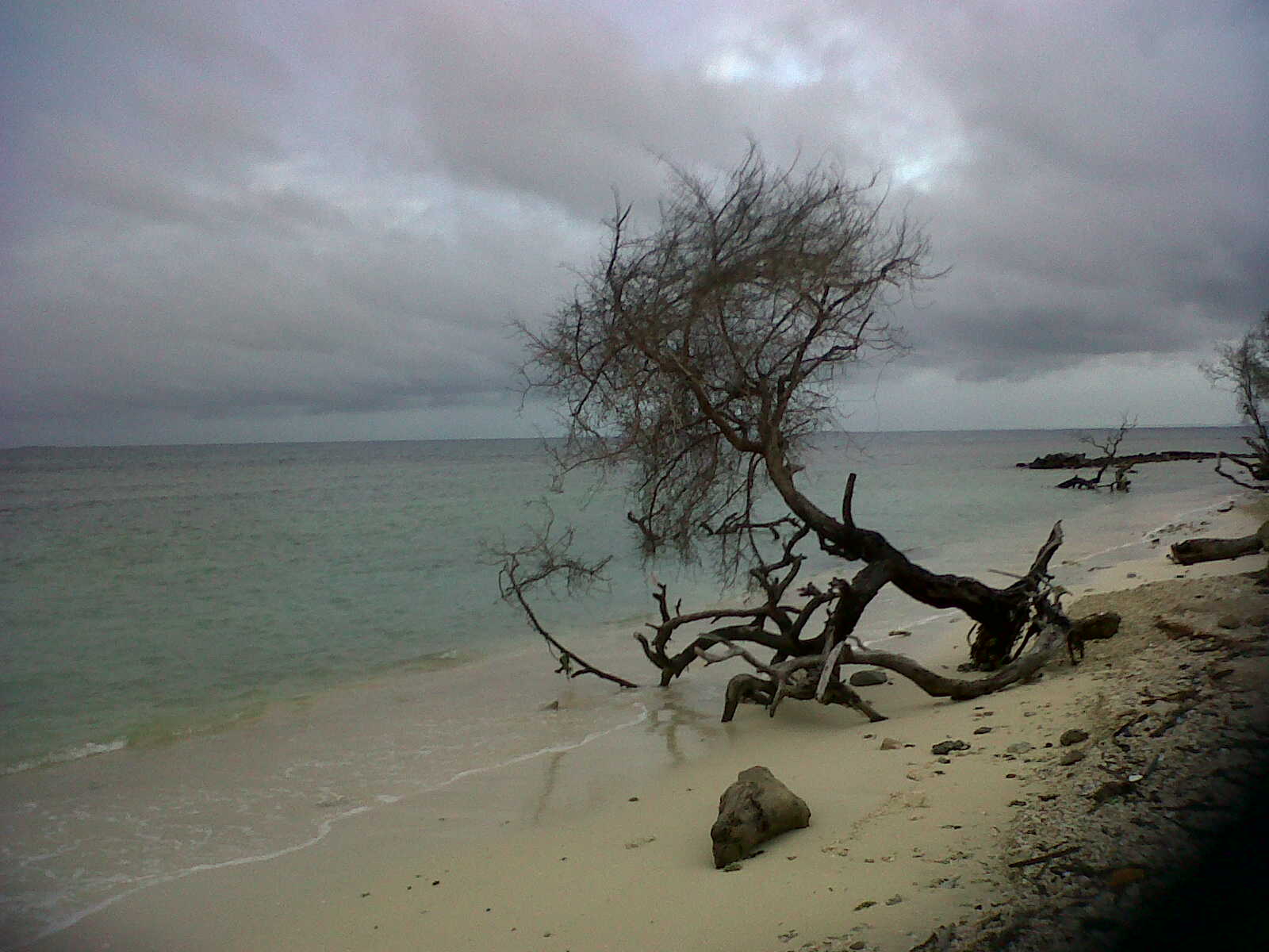 Cayo Punta Brava
