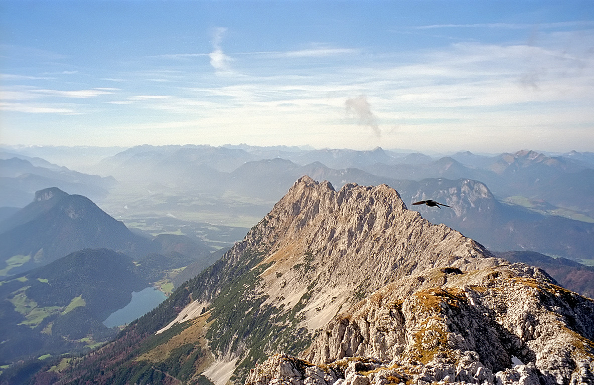 Hackenköpfe