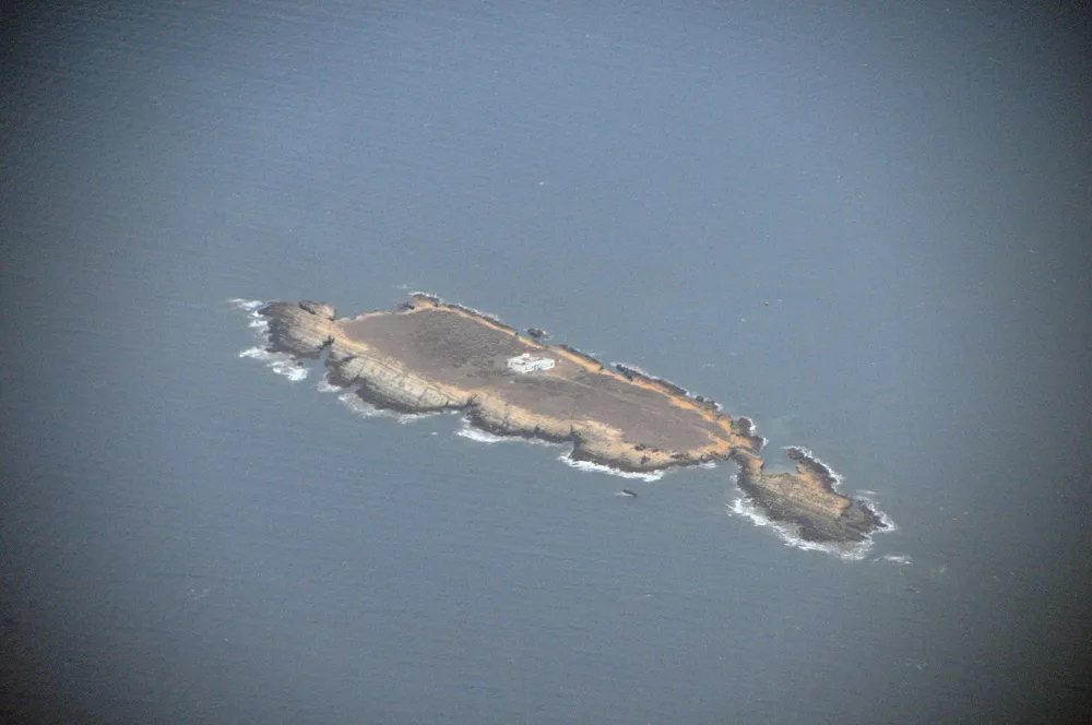Plane Island