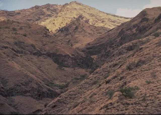 Mount Ayalu