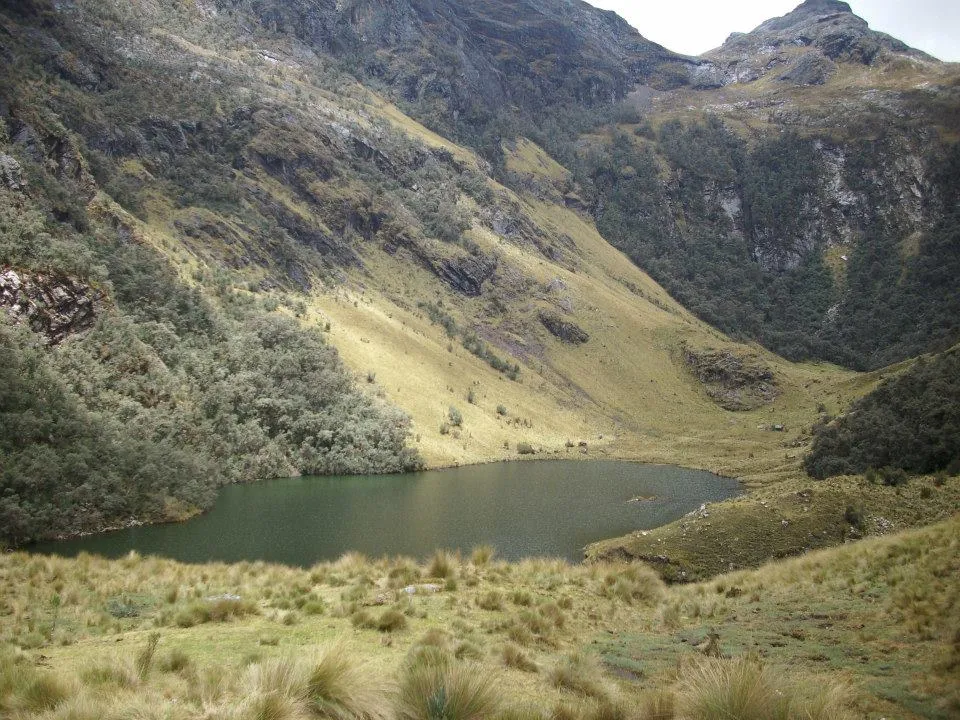 Pariacocha