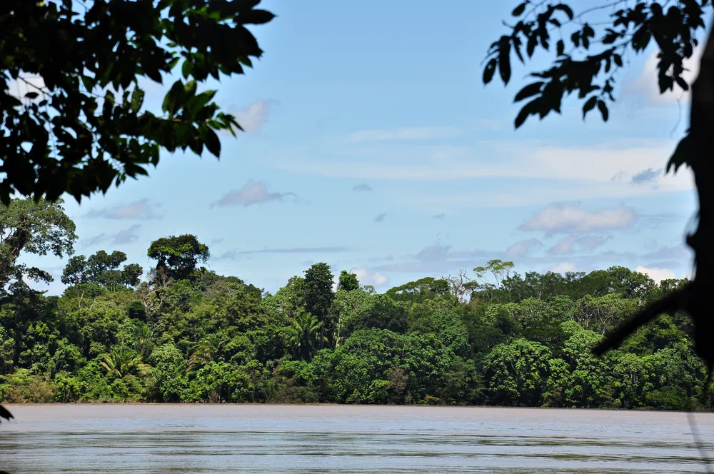 Mapinguari National Park