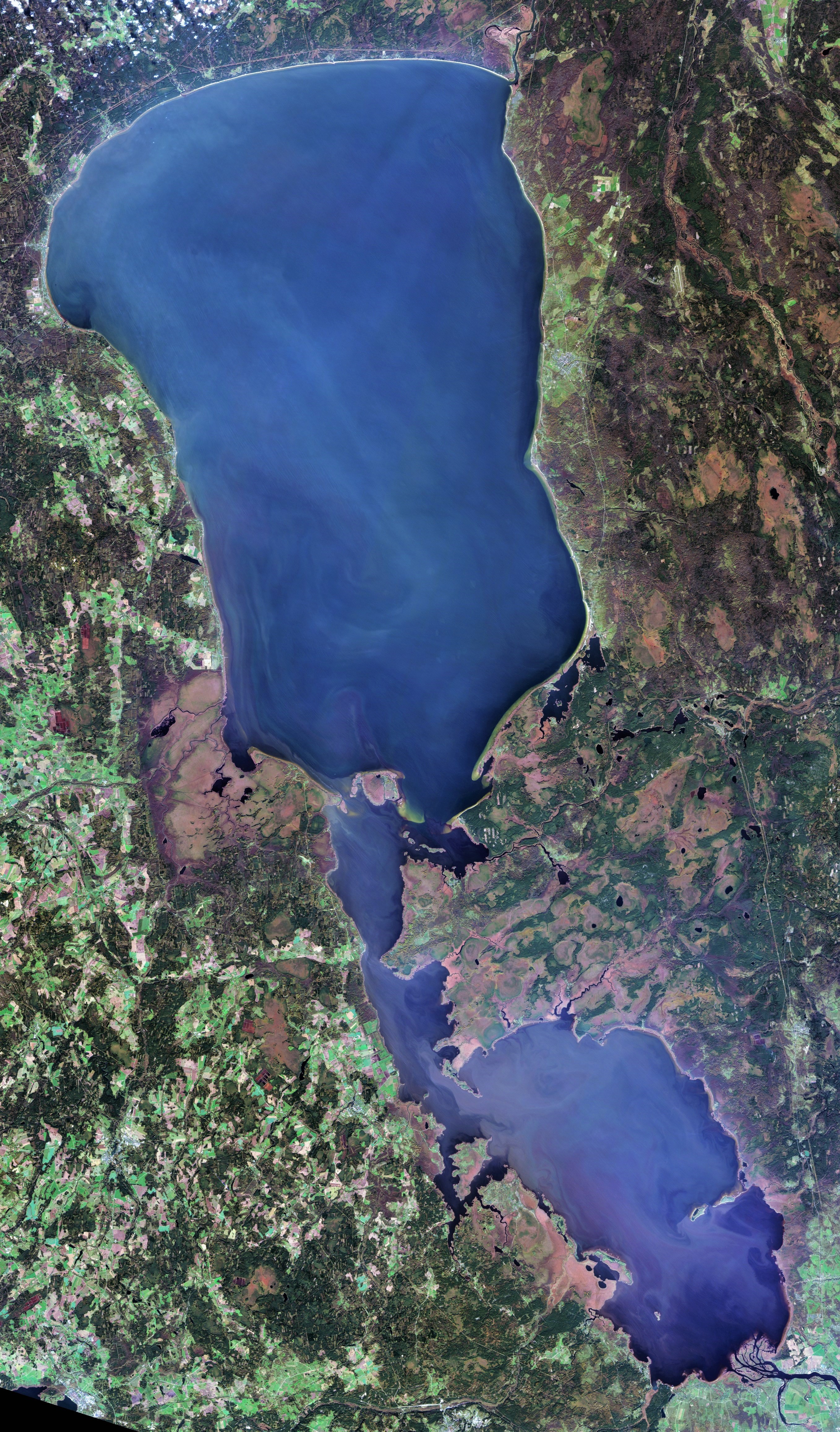 Lämmijärv