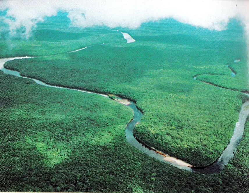 Delta del Orinoco National Park