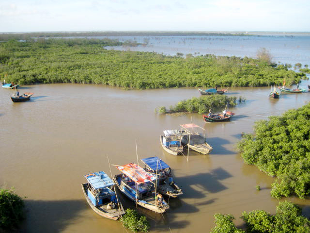 Xuan Thuy National Park