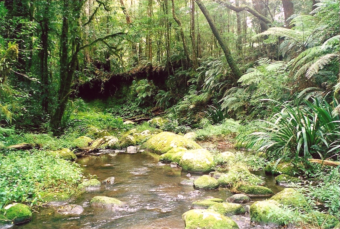 Border Ranges National Park