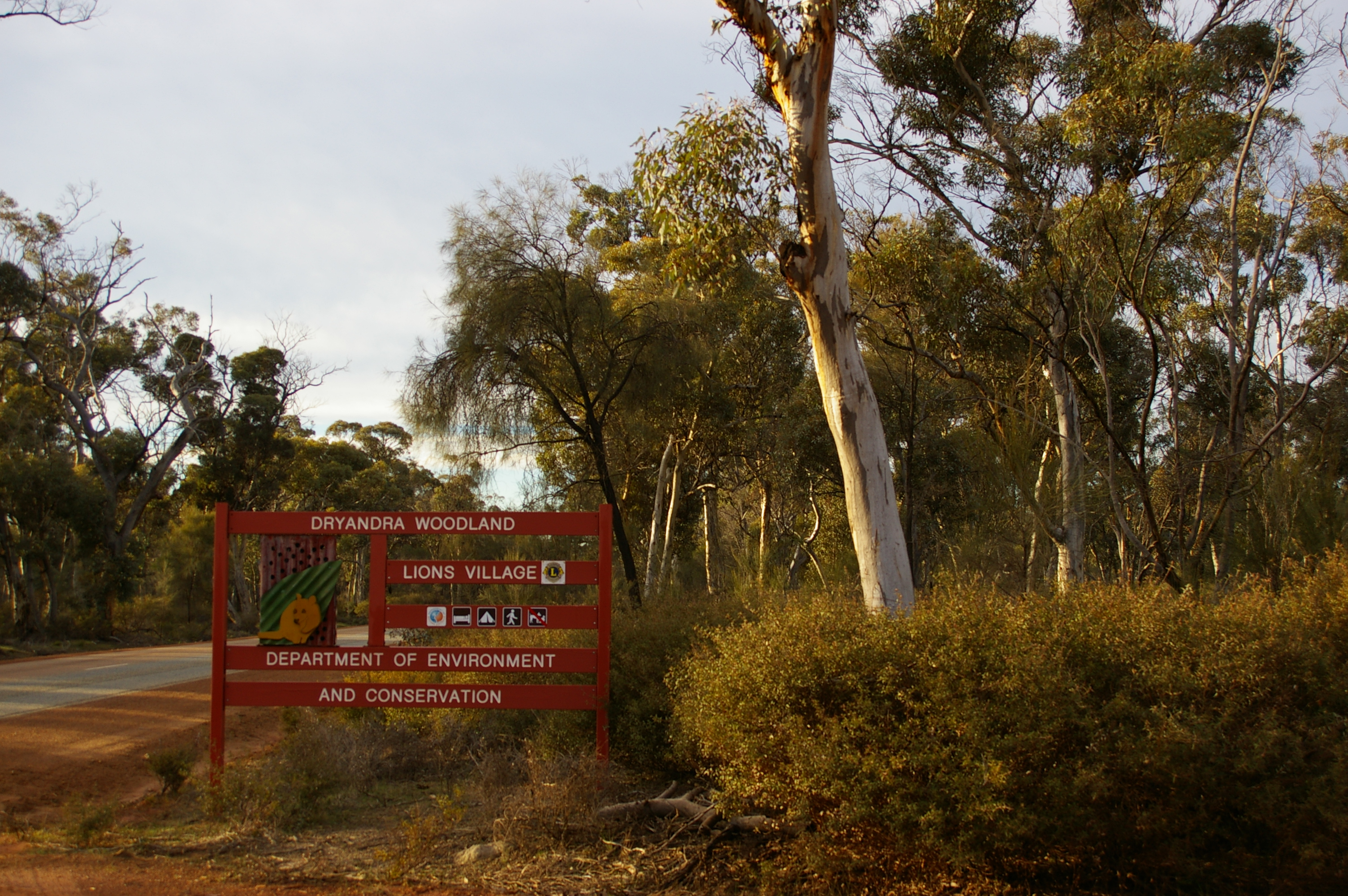 Dryandra Woodland National Park